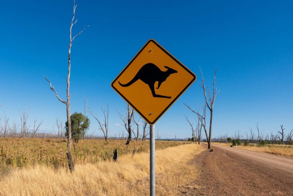 Von Sydney nach Cairns Titelbild