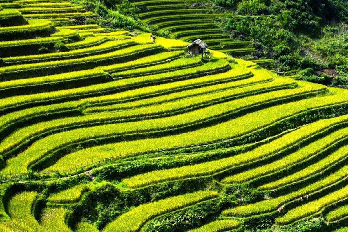 Bali backpacking Titelbild