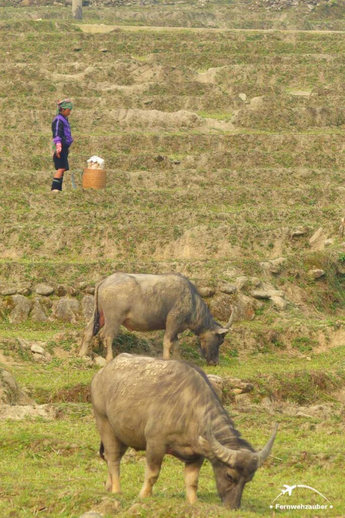 Bali Backpacking