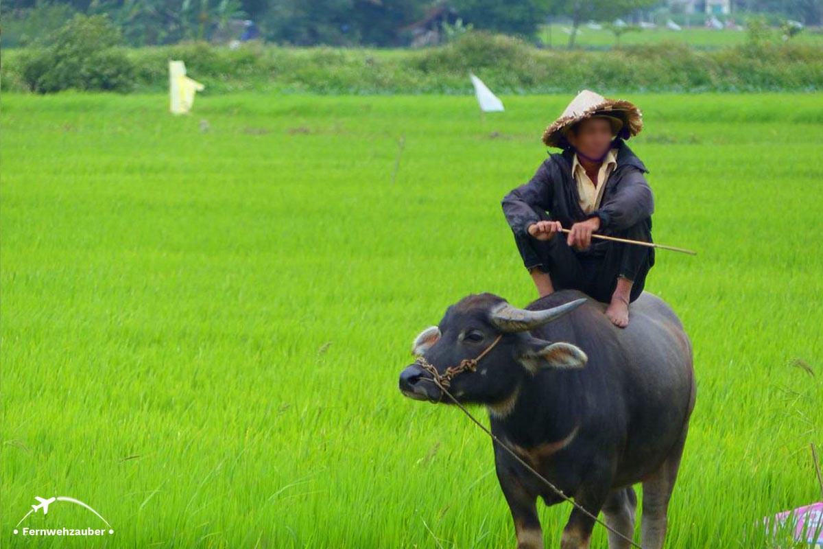 Vietnam backpacking Titelbild